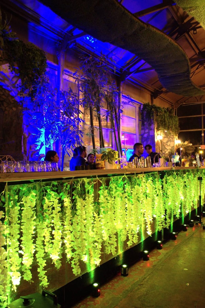 Fiesta y Gran Baile